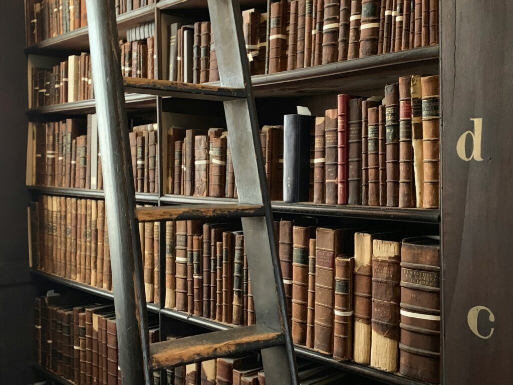 ladder and vertical shelving book storage solution