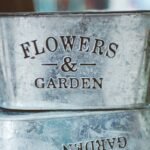 tin containers for balcony garden plants