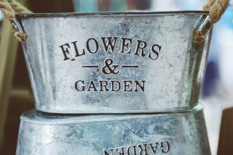 tin containers for balcony garden plants